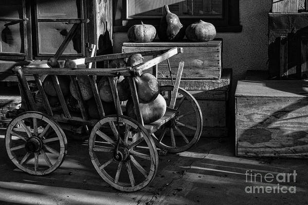 Castroville Art Print featuring the photograph Cart Full of Gourds 2 by Bob Phillips