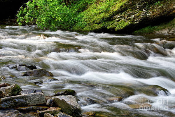  Art Print featuring the photograph Cascades On Little River 3 by Phil Perkins