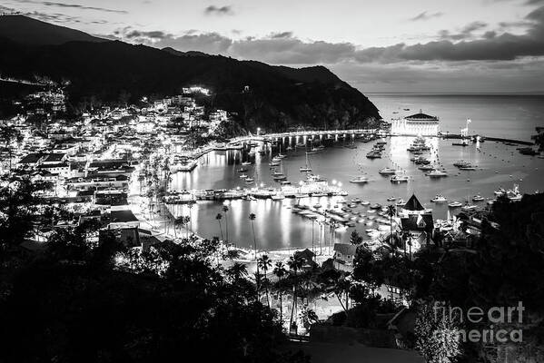 2015 Art Print featuring the photograph Catalina Island at Night Black and White Photo by Paul Velgos