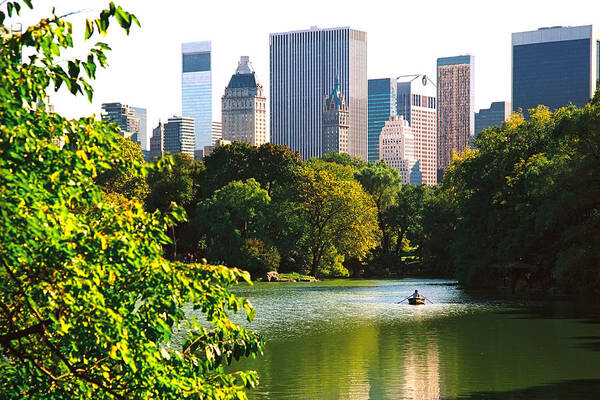 Central Park Art Print featuring the photograph Central Park by Claude Taylor