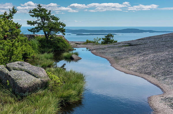 Acadia National Park Art Print featuring the photograph Champlain Mountain View by Lynn Thomas Amber