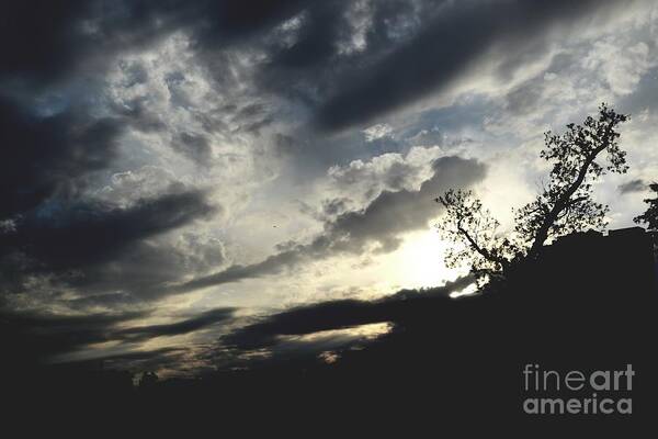 Sunset Photograph Art Print featuring the photograph Changing Light by Expressions By Stephanie