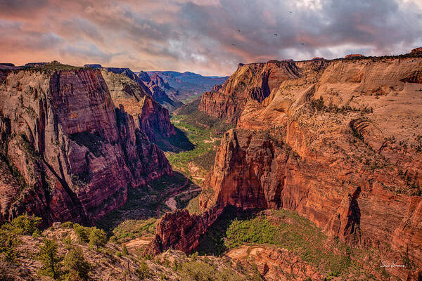 Zion National Park Art Print featuring the photograph Changing Weather by David Simpson