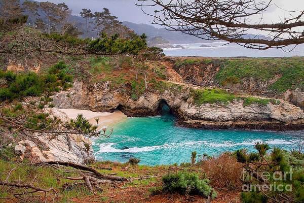 China Cove Art Print featuring the photograph China Cove at Point Lobos by Charlene Mitchell
