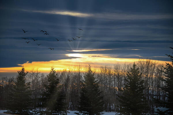 Sky Art Print featuring the photograph Chinook Arch by Phil And Karen Rispin