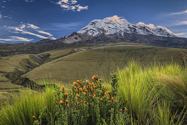Andes Art Print featuring the photograph Chuquirahua and Chimborazo volcano at dawn by Henri Leduc