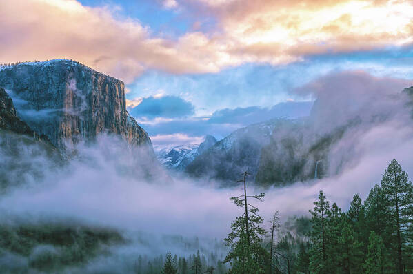 Yosemite National Park Art Print featuring the photograph Circle Of Life by Jonathan Nguyen