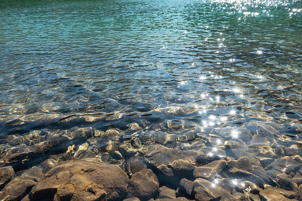 Lake Art Print featuring the photograph Clear Water And Sunlight by Phil And Karen Rispin
