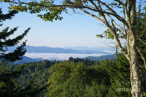  Art Print featuring the photograph Clingmans Dome 21 by Phil Perkins