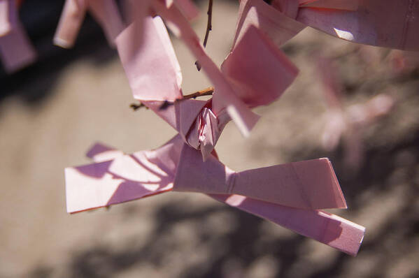 Paper Art Print featuring the photograph Closeup of Japanese Paper prayers Omikuji tied to tree by Adelaide Lin