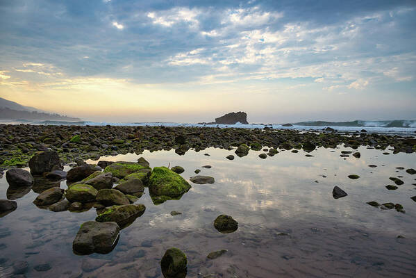 Beach Sunrise Art Print featuring the photograph Cloud Reflections in the Tide Pools by Matthew DeGrushe
