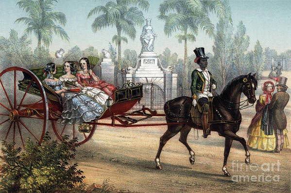 1855 Art Print featuring the drawing Coachman with a horse and carriage in Cuba, 1855 by Granger