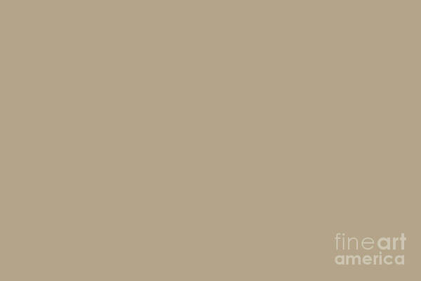 Beige Art Print featuring the digital art Coastal Calm Beige Solid Color Pairs Sherwin Williams Outerbanks SW 7534 by PIPA Fine Art - Simply Solid