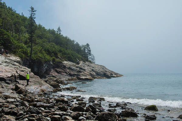 Tall Pine Trees Art Print featuring the photograph Coastal Maine 6 by Mike McGlothlen