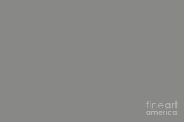 Grey Art Print featuring the digital art Cohesive Medium Gray Solid Color Pairs Valspars 2022 Color of the Year Grey Suit 4004-2A by Simply Solids