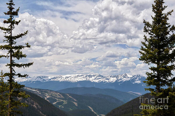 Rocky-mountains Art Print featuring the photograph Colorado Ski Slopes In The Summer by Kirt Tisdale