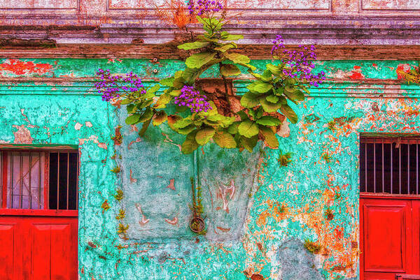 Antigua Art Print featuring the photograph Colors of Guatemala #2 by Tatiana Travelways