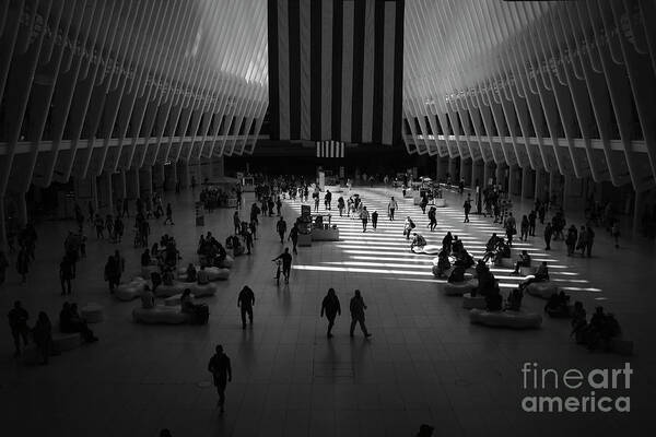 Oculus Art Print featuring the photograph Commute in Silhouette by Paul Watkins
