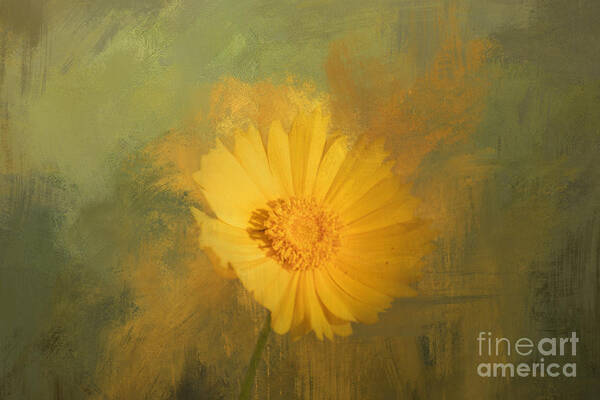 Tickseed Art Print featuring the mixed media Coreopsis Dream One by Elisabeth Lucas