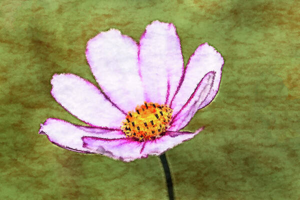 Floral Art Print featuring the photograph Cosmos Flower by Tanya C Smith