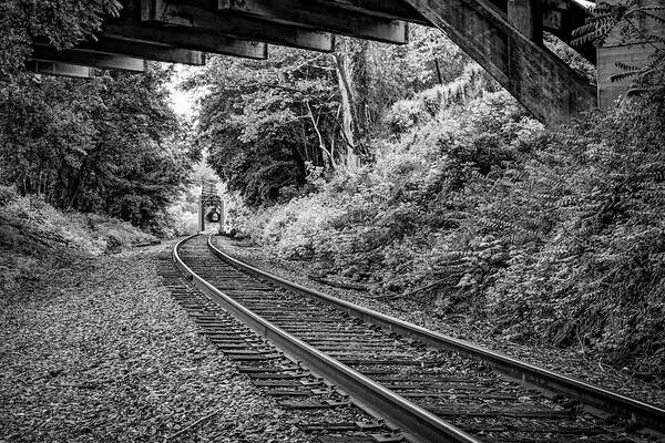 Cotter Tunnel Bridge Art Print featuring the photograph Cotter Railway Tunnel - Black and White Edition by Gregory Ballos