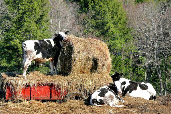 Cow Art Print featuring the painting Cow Country Buffet by Christina Rollo