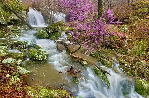 Spring Art Print featuring the photograph Coward's Hollow Shut-ins II by Robert Charity