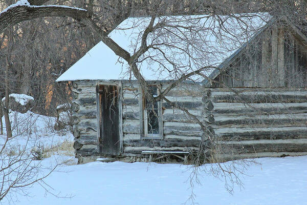 Cabin Art Print featuring the photograph Cozy Hideaway by Penny Meyers