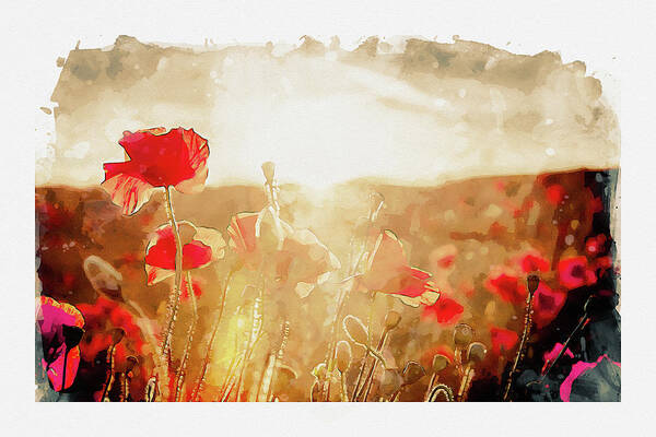 Poppy Sunset Art Print featuring the digital art Crimson Fields by Airpower Art