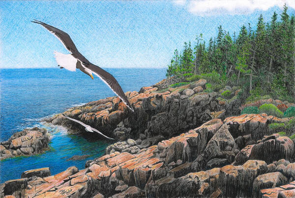 Acadia National Park Art Print featuring the drawing Crusing Otter Point by Brent Ander