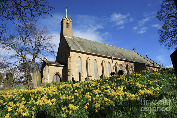 Daffodils Art Print featuring the photograph Daffodils Church by Bryan Attewell