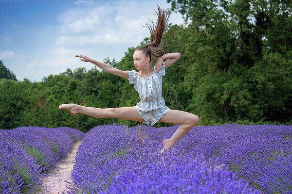 Lavender Art Print featuring the photograph Dance on the lavender by Andrew Lalchan