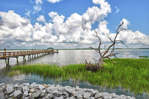 Daufuskie Island Art Print featuring the photograph Daufuskie Dead Tree by Renee Sullivan