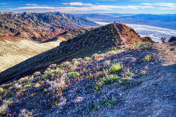 Landscape Art Print featuring the photograph Death Valley at spring by Tatiana Travelways