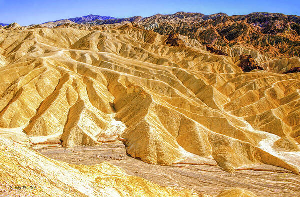 Usa Art Print featuring the photograph Death Valley Desert by Randy Bradley
