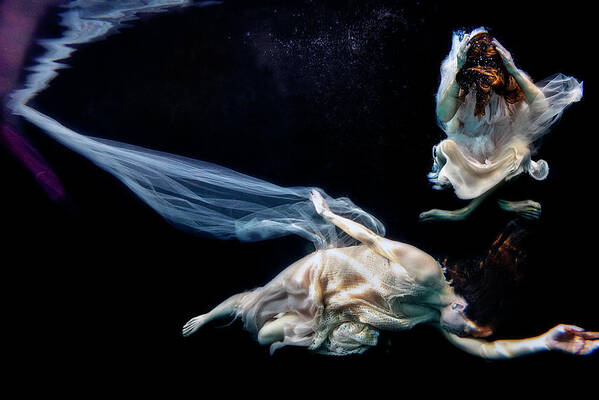 Underwater Art Print featuring the photograph Decisions by Dan Friend