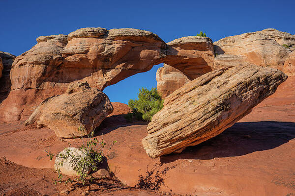 Arches National Park Art Print featuring the photograph Defying Gravity by Ron Long Ltd Photography