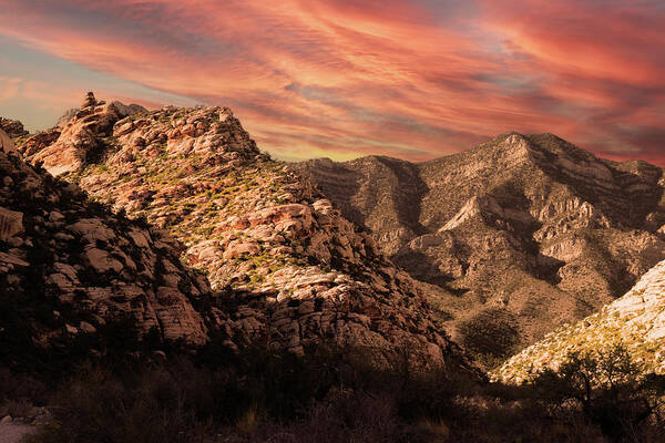 Nature Art Print featuring the photograph Desert Colors Spring Mountains by Frank Wilson