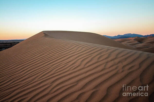 Desert Art Print featuring the photograph Desert Evening by Jennifer Magallon