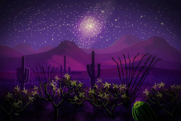 Desert Art Print featuring the digital art Desert Stars by Chance Kafka