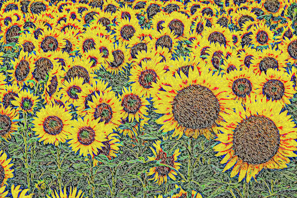 Sunflower Art Print featuring the digital art Designs on Sunflowers by Douglas Wielfaert