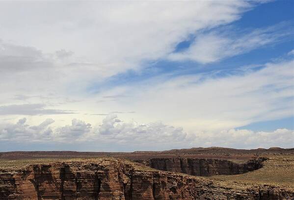 Arizona Art Print featuring the photograph Desolate by Sandra Peery