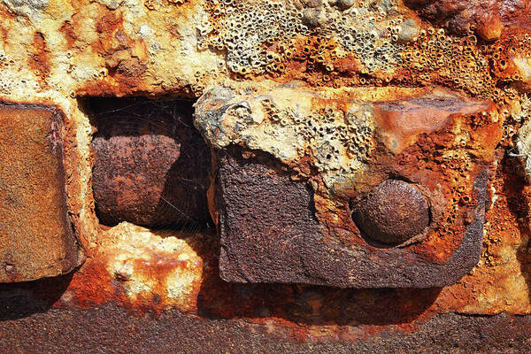 Rust Art Print featuring the photograph Detail anchor by Maria Meester