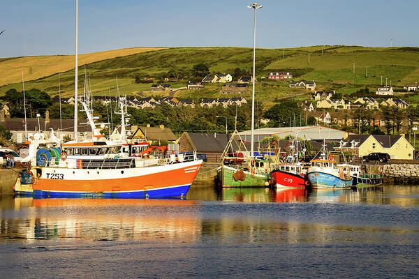 Boat Art Print featuring the photograph Dingle Fishing Fleet by Craig A Walker