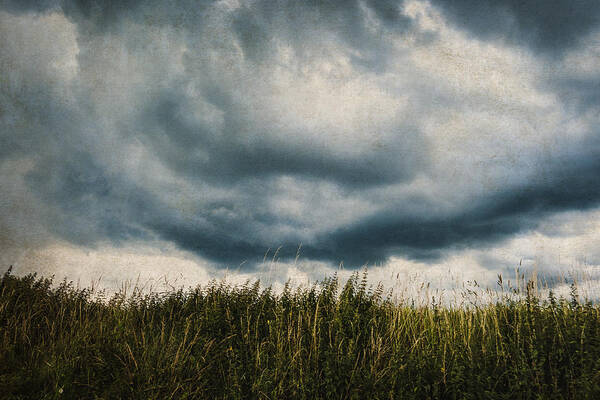 Land Art Print featuring the photograph Disturbed sky by Yasmina Baggili