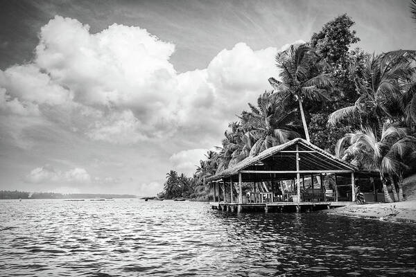 African Art Print featuring the photograph Dockhouse Under the Palms Black and White by Debra and Dave Vanderlaan