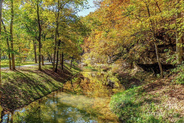Autumn Art Print featuring the photograph Dogwood Creek Autumn Reflections by Jennifer White