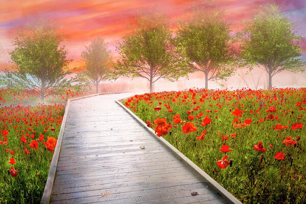Carolina Art Print featuring the photograph Dreamy Walk in Poppies by Debra and Dave Vanderlaan
