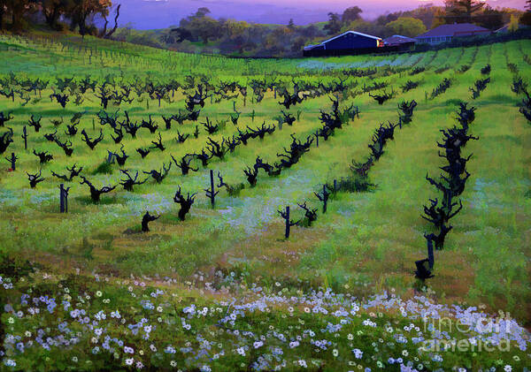 Wine Country Art Print featuring the photograph Dremy Vineyards by Melinda Hughes-Berland
