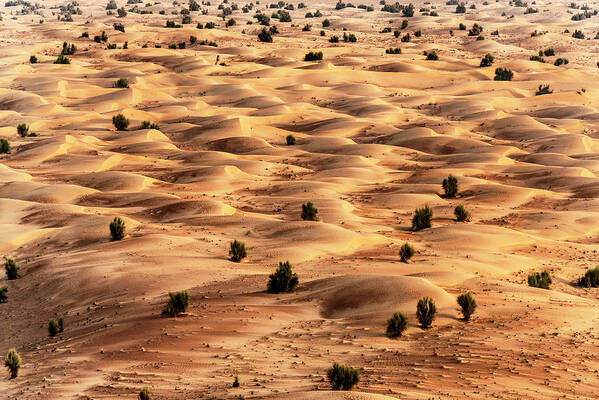 Uae Art Print featuring the photograph Dubai UAE - Desert Dunes by Philippe HUGONNARD